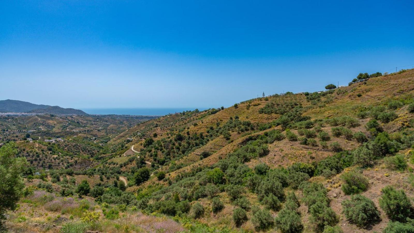 Cortijo El Mirador Frigiliana By Ruralidays Βίλα Εξωτερικό φωτογραφία